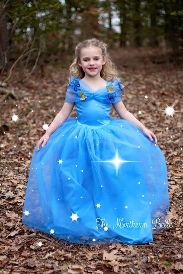Beautiful Princess Seam Dress Pattern Free Download PDF.